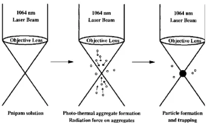 Fig. 1.3 Schematic view of PNIPAM assembly via photon pressure and phase transition  [12]. 