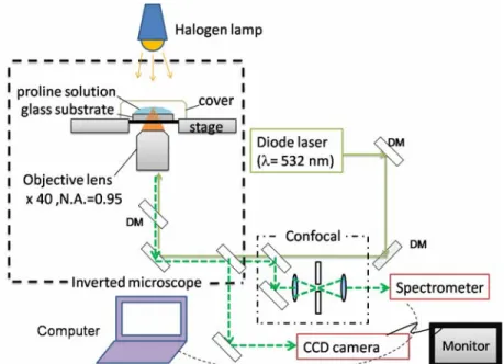 Fig. 2.3 Schematic diagram of optical set up of laser scanning confocal microscope. 