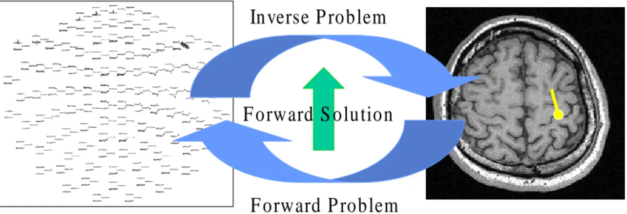 Figure 1.4: Forward and inverse problem and their relationship. Given a putative source in the brain, what the magnetic field distributes outside the head is the forward problems (right to left)