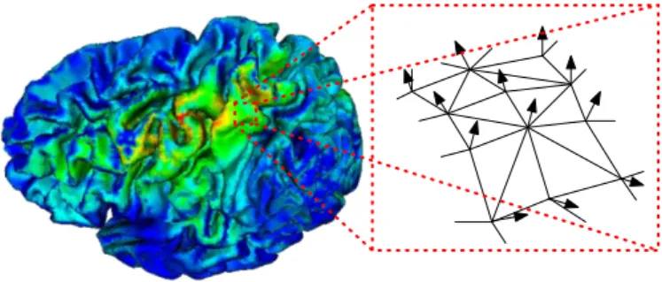 Figure 3.4: Determination of the position and orientation probed by beamformer when given the geometry model of the cortical surface