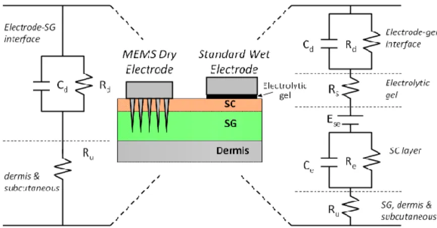 Fig. 2.2 Electrode-skin interface comparison between spiked dry and electrode standard wet  electrode