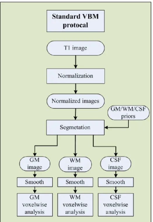 Figure 2.1: Flowchart of standard VBM protocol. Raw images are first normalized to a standard space with a template