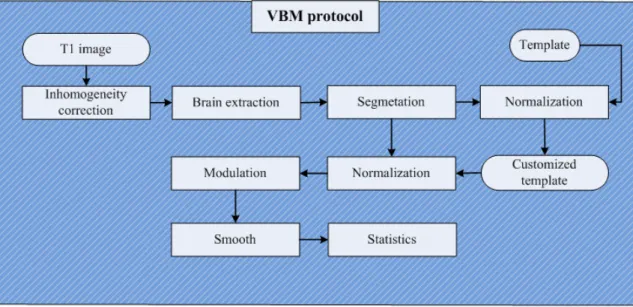 Figure 2.6: Flowchart of VBM implementation. Our implementation of VBM uses sev- sev-eral tools and can be described in eight steps: (1) Bias correction, (2) non-brain exclusion of T1 images with HWA, (3) segmentation and extraction of brain T1 images with