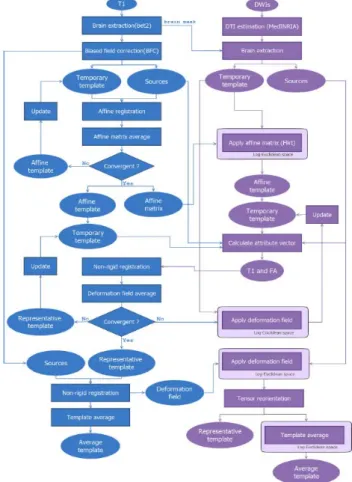Figure 10: Detailed flowchart of the proposed methods for MR/DT    template construction.