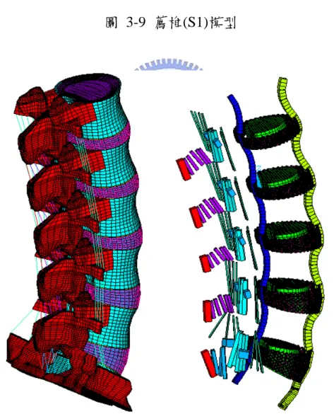 圖 3-10  六節完整脊椎(L1-S1)的有限元素模型(INT) 