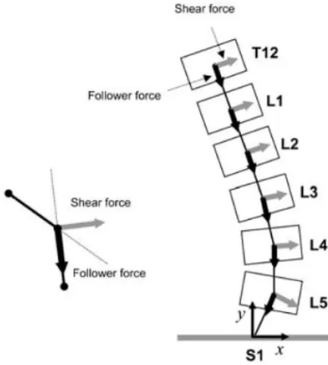 圖 3-14 Kim 所建立的矢狀面上的 2D 腰椎模型[51] 