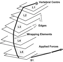 圖 3-16 Wrapping element 應用於 L1-S1 示意圖[53] 