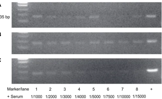 Fig. 9. Detection of human anti-EBNA1 IgA in serum specimens from three different patients with NPC infestations using (A, B) immuno-PCR system and (C) conventional ELISA system