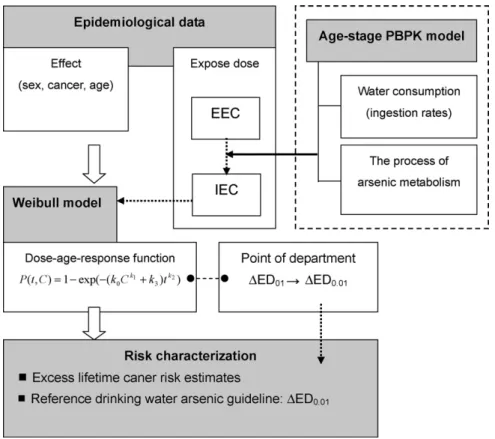 Fig. 1 shows the research framework for interaction among epi- epi-demiological data, Weibull model, and internal cancer risks from arsenic in drinking water