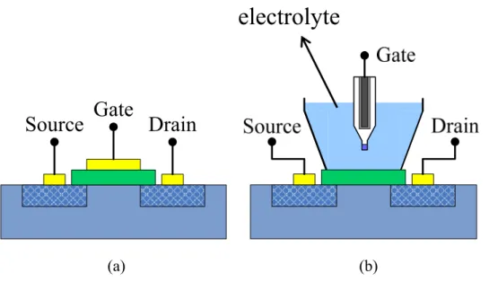 Fig. 2-1 Schematic representation of (a) MOSFET, (b) ISFET 