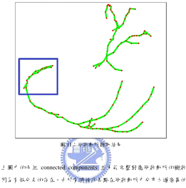 圖 11：冠狀動脈擷取結果  上圖中的兩組 connected components 並不能完整對應冠狀動脈的樹狀結 構，因為有假分支的存在。由於有時候代表點在冠狀動脈中分布太過密集的關 係，會出現假分支的情況，不過假分支在存在，並不會影響我們的實驗結果。 圖 12 將圖 11 中藍色區塊放大並顯示資料點，可以明顯看出有多個假分支的存 在。 