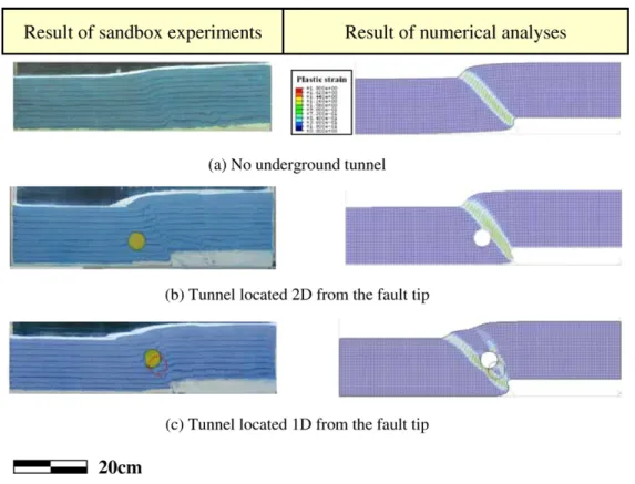 Fig. 7. The deformation and the development of shear zones of the overburden soil, obtained from numerical analyses (the right parts) and sandbox experiments (the left parts)