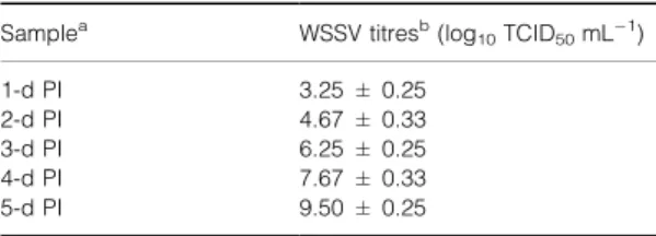 Table 1 Titration of white spot syndrome virus (WSSV) in gill filtrates of experimentally infected Penaeus vannamei using  Blue-Cell ELISA