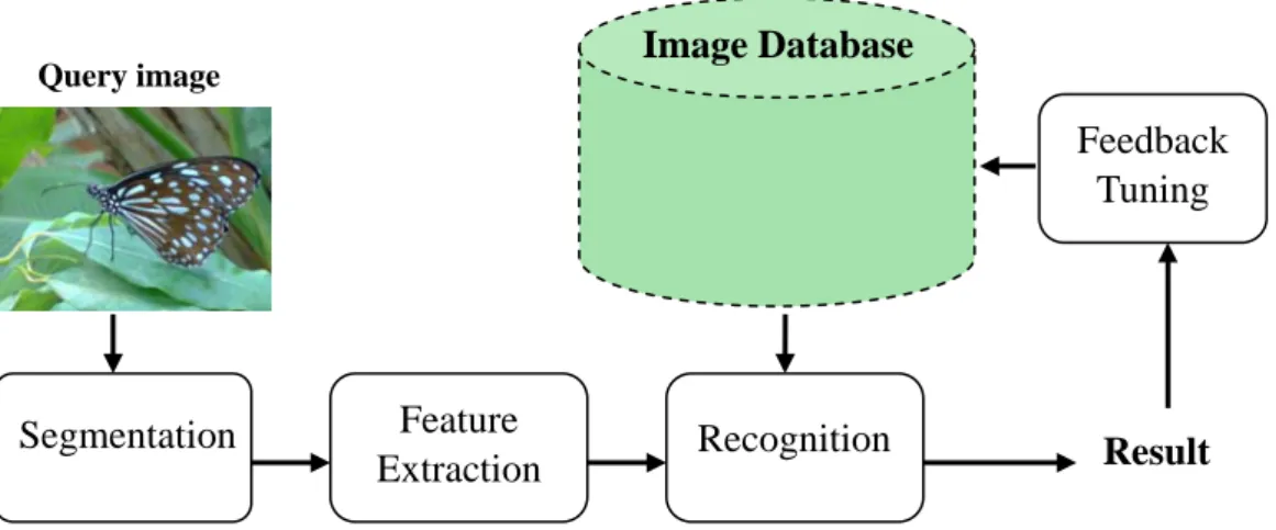 Fig. 3. Flow diagram of the proposed system.  Feedback Tuning Image Database Result Query image Segmentation Feature Extraction Recognition 3.1 Segmentation 
