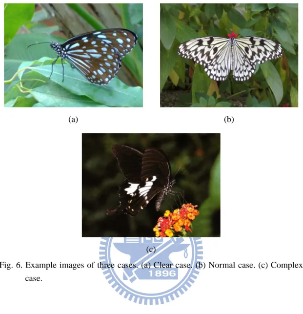 Fig. 6. Example images of three cases. (a) Clear case. (b) Normal case. (c) Complex  case