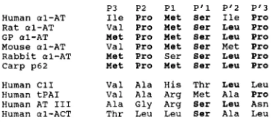 FIG. 8. Comparison of the amino acid sequence of the reactive site region of carp a,-antitrypsin (p62) and other serpins 