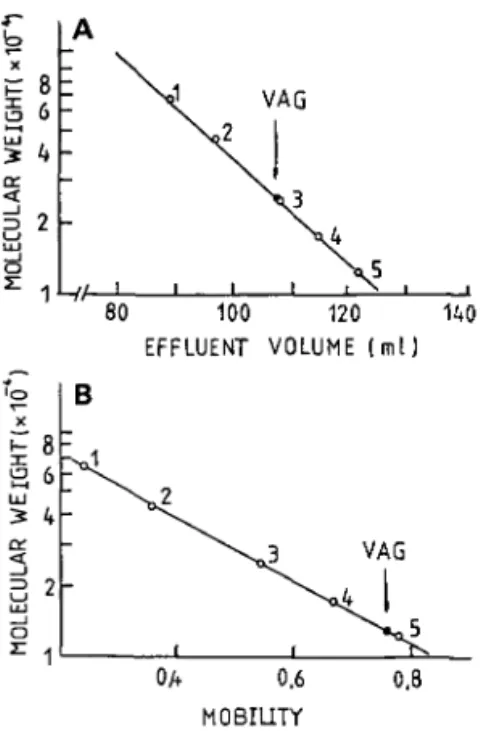 Fig. 5. Tryptic map analysis was carried out accord- accord-ing to the method described in &#34; MATERIALS AND METHODS.&#34; The first dimension is paper  electro-phoresis at pH1.9 followed by a second dimension of paper chromatography using BAWP (butanol 