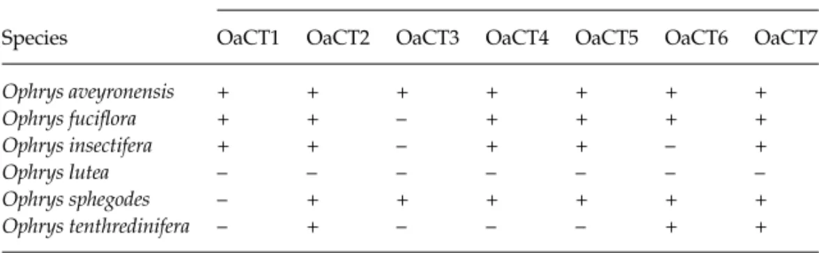 Table 2 Cross-species amplification with Ophrys araneola microsatellite primers. +, successful amplification (qualities 1–3 of Smulders et al
