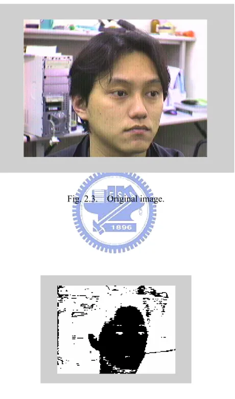 Fig. 2.3.  Original image. 