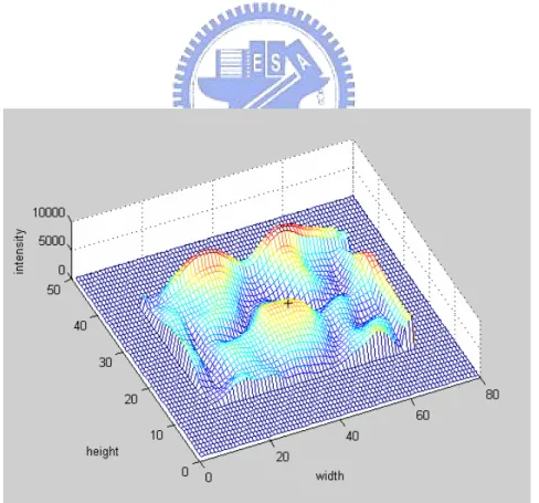 Fig. 3.2.    The CF-filtered image. The black plus “+” is a local maximum of image  which satisfies the two conditions in Section 3.3