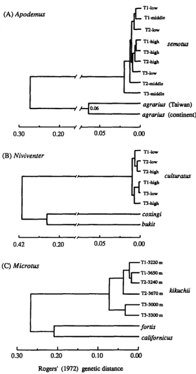 Figure  2.  UPGMA  dendrogram  of  affinity  among  species  and  populations  in  three  genera  of  rodents  from  Taiwan  as  measured  by  Rogers'  (1972)  genetic  distance:  (A)  Apodemus,  (B)  Niviventer,  and  (C) Microtus