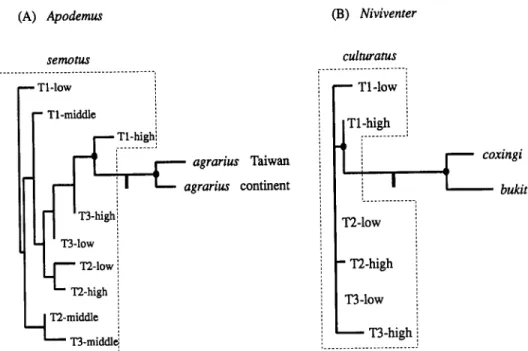 Figure  3.  Fifty percent  majority-rule  consensus  tree  showing  phylogenetic  relationships  among  species  and  populations  in  two  genera  of  rodents  from  Taiwan  based  on  allozyme  data:  (A)  Apodernus  and  (B)  Niviventer