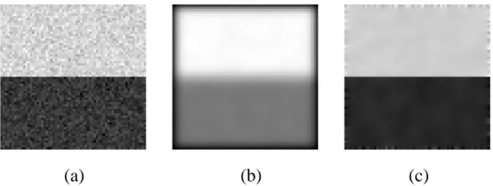 Fig. 3.8.  The example about anisotropic diffusion processing. (a) The input  image(with noise)