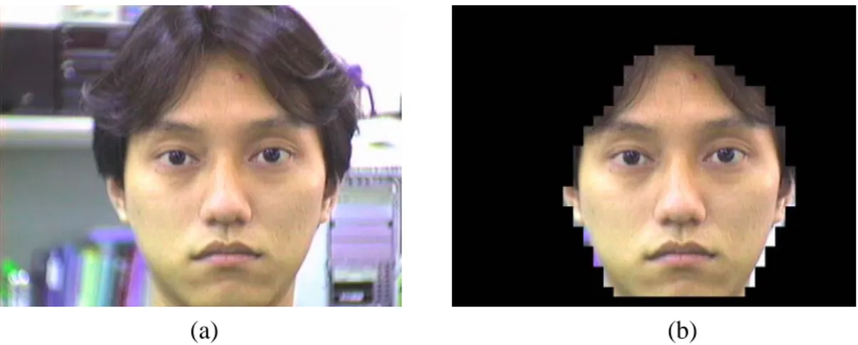 Fig. 3.9.  The example of face without glasses. (a) The input face image without  glasses