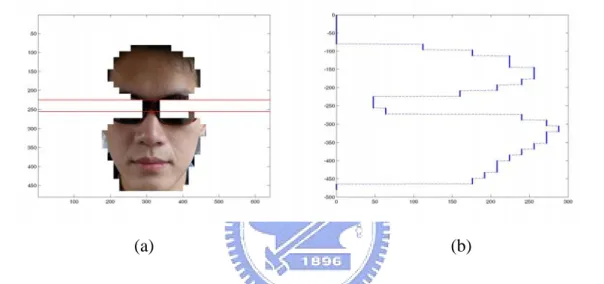 Fig. 3.12. The example of eye detection on sunglasses. (a) The face segment of a face  with sunglasses