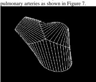 Figure 9 the image obtained using the  volume rendering of the volume data. 