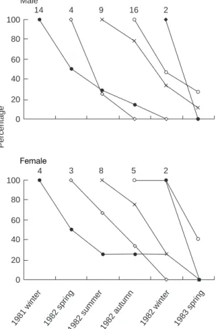 Fig. 5. Growth pattern in body weight of rats of the winter cohort (*) and the summer cohort (*).
