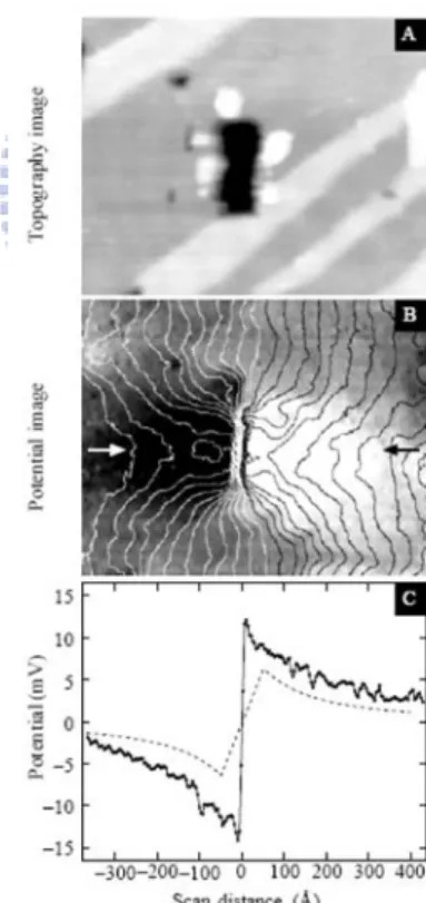 Figure 1.2: A. STM-topogragh, B. STP potential image and C. Cross sectional cut of B.