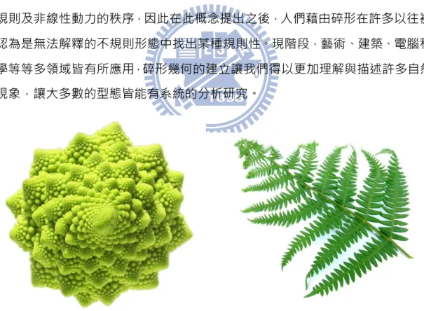 圖  2-13  自然界的碎形結構：羅馬花椰菜（左）、蕨類（右） 