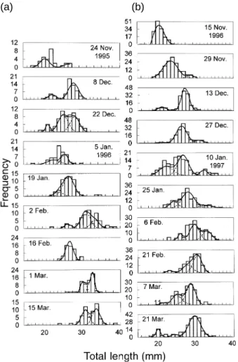 Table 1.  Sampling dates, numbers and total length of grey mullet juveniles in 1995 and 1996 seasons in the Tanshui estuary