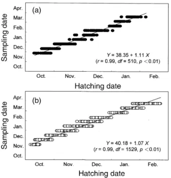 Fig. 6.  Relationship between sampling and hatching date of grey mullet juveniles in the 1995 (a) and 1996 (b) seasons.
