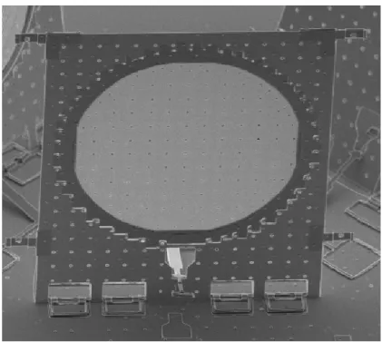 Fig 1.2 The micro BS with etch-holes array.