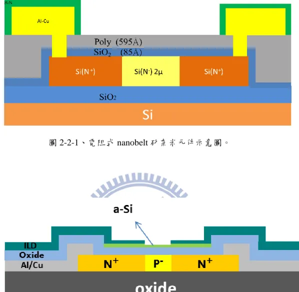 圖 2-2-2、單晶矽 nanobelt 矽奈米元件示意圖。 