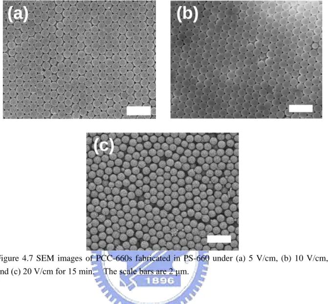 Figure  4.7  SEM  images  of  PCC-660s  fabricated  in  PS-660  under  (a)  5  V/cm,  (b)  10  V/cm,  and (c) 20 V/cm for 15 min