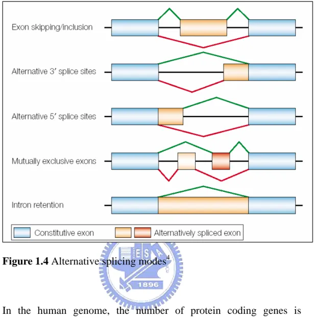 Figure 1.4 Alternative splicing modes 4