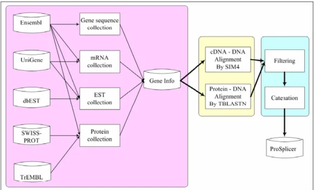 Figure 2.2 System flow of ProSplicer 