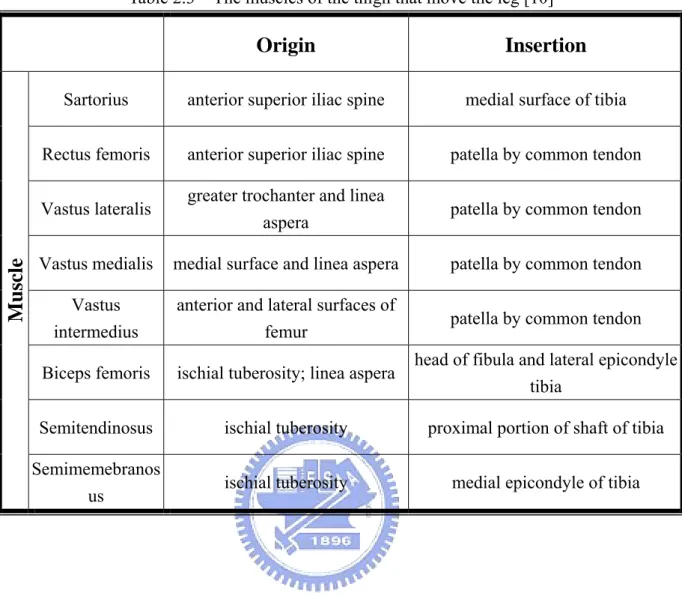 Table 2.3    The muscles of the thigh that move the leg [10] 