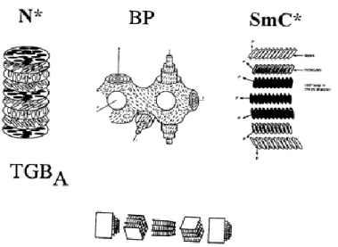Fig. 2.1 Helical structures formed in chiral liquid crystal. (a) N* is the cholesteric phase, (b)  BP  is  the  blue  phase,  (c)  SmC*  is  the  chiral  smectic-C,  and  (d)  TGB A   is  the  twist  grain  boundary phase [4]