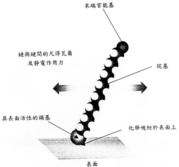 圖 1-1：自組裝分子的結構與作用力示意圖。 3