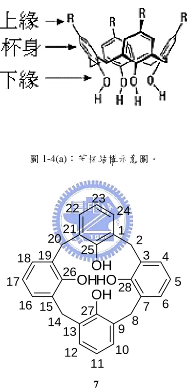 圖 1-4(a)：芳杯結構示意圖。  OH OH OH HO 1 2 3 4 5 7 6 9 8 10 12 11141316151718 19202122 23 24252627 28 7