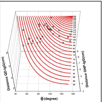 Figure 4.7    Projection of apparent angle and distances of GNP-IgGs-QD complexes on  the theoretical θ 0  plane