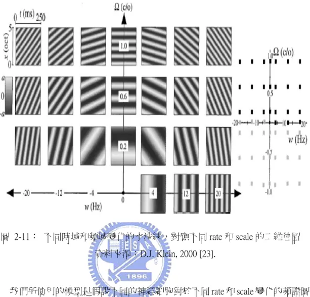 圖  2-11：  不同時域和頻域變化的水波紋，對應不同 rate 和 scale 的二維位置  資料來源：D.J. Klein, 2000 [23].  我們所使用的模型是假設不同的神經細胞對於不同 rate 和 scale 變化的頻譜圖 成份有不同的二維脈衝響應，因此將頻譜圖經過ㄧ群二維的帶通調變濾波器(見圖 2-12)得到結合頻域和時域的分析結果。可以由  圖 2-11  清楚看到，不同頻域和時 域變化的移動波紋對應至不同 rate 和 scale 的二維位置，每個移動波紋的時間總長 度是 250ms