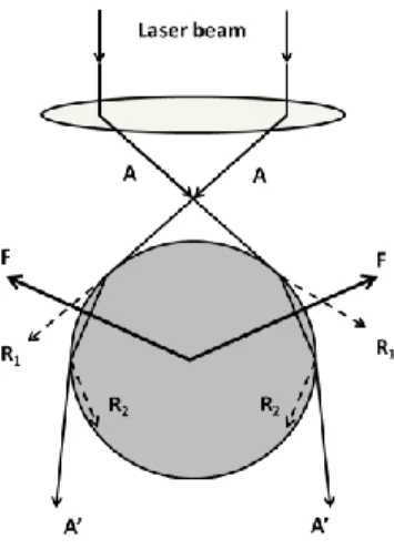 Fig.  1-1.  Diagram  showing  the  ray  optics  of  a  spherical  Mie  particle  trapped  in  water              by the highly focused light of a single-beam gradient force trap(Adapted from reference [5])