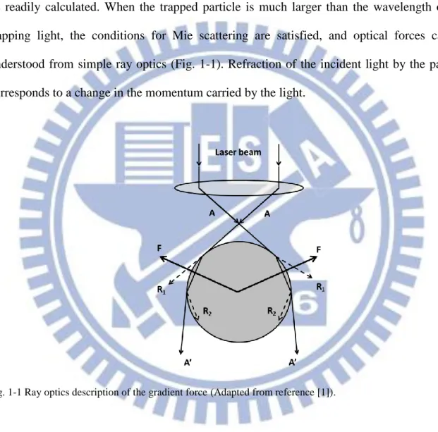 Fig. 1-1 Ray optics description of the gradient force (Adapted from reference [1]). 