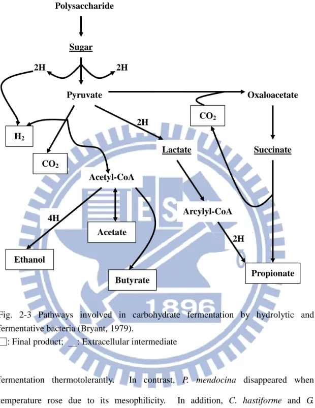 Fig.  2-3  Pathways  involved  in  carbohydrate  fermentation  by  hydrolytic  and  fermentative bacteria (Bryant, 1979)