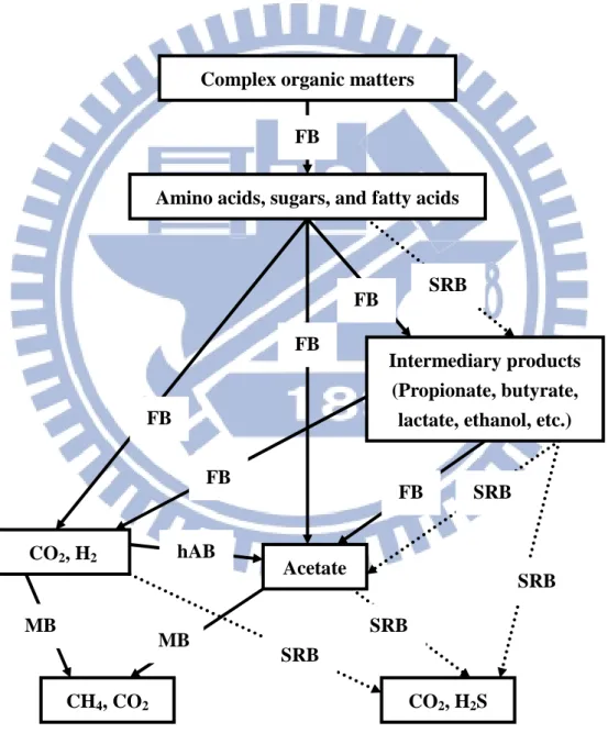 Fig.  2-5  is  the  relationship  and  substrate  utilization  between  SRB  and  other  anaerobic microorganisms